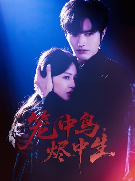 笼中鸟，烬中生&笼中鸟烬中生（60集）罗正＆郑初晨 高清完整版