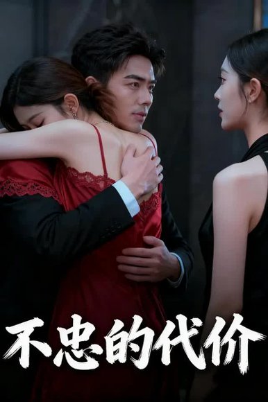 不忠的代价（27集） 高清完整版
